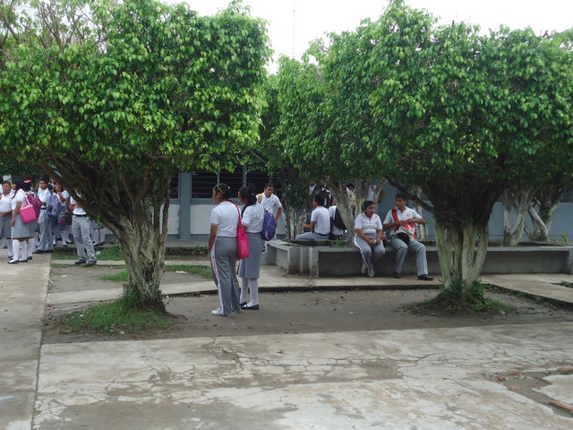 AREAS VERDES 2